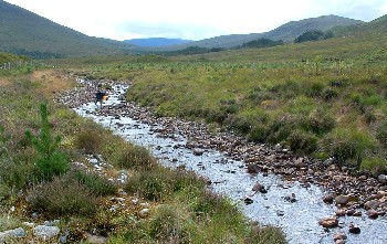 Native woodland restoration enclosure in the River Ewe headwaters